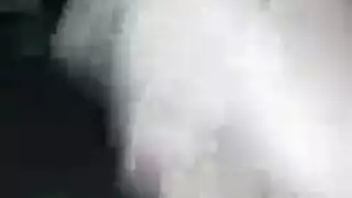 هاردكور: قضيب حمار كبير يضاجع عاهرة سوداء