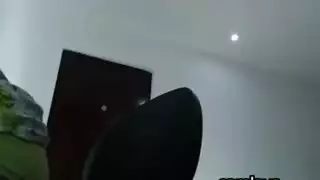 زووي