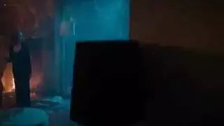 المس اليد على الحمار