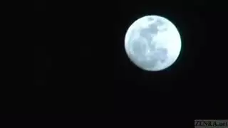 سينما المجري