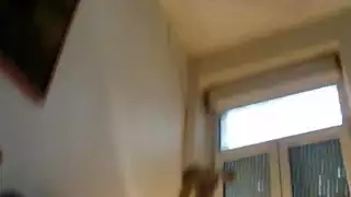 تكسير الخصية: نيك صريح مع أنين عالٍ