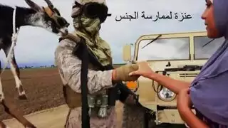 جنس عسكري صريح: مقايضة ماعز مقابل دعارة صحراوية