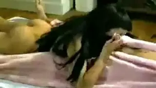 لبن من بزهزها