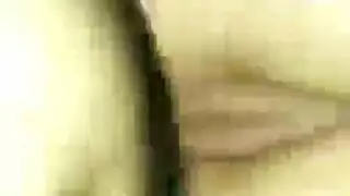 مشاركه الرير