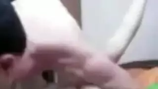 بورن إيراني منزلي ساخن نيك عنيف مع عشيقة مغرية