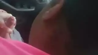 دور اللعب الكلبة بوف