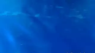 سقس مسلسل ماري تشوي