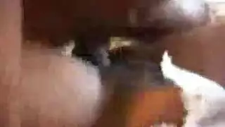 أقضية سوداء ضخمة تمدّد مهبل السمينات