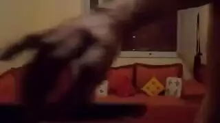 سكس عربي شريف الطليني