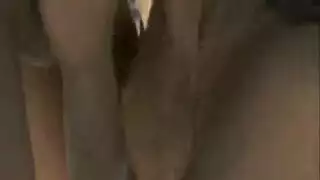 على شاطي كرتون