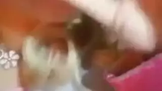 حلوة المصاصة تمص بلطف بينما تتوسل لجنس صارخ لتخفيف حرارتها