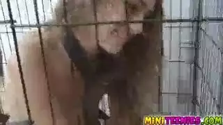 صديقة مثيرة تأخذ حمولة ساخنة على وجهها وفمها