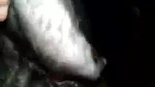 نكدوكر