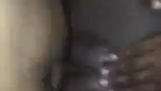 اللسان وشاعر المليون الديك الكبير خشب الأبنوس الهواة