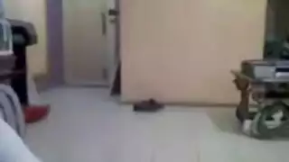 المحذوفات ثالث الثانوي