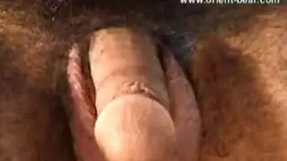 جرعة ثلاثية من الحركة اليابانية الصريحة للكبار