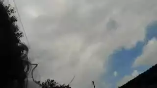 الجنس العامة اللوحة الجسم لاتينا