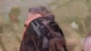 جنس نبيله عبيدبزب كبير