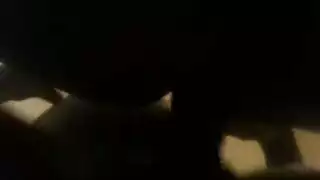 عازبو الأبنوس المستعدون يعرضون ساعاتهم النابضة