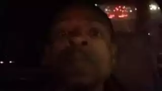 الوردي الهرة جليسه اطفال قبل نائب الرئيس