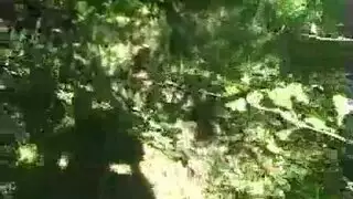ثنائي عنيف: رجلان يضربان أنثى جميلة بقسوة