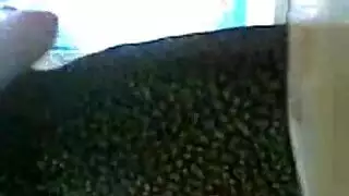 ترملة مثيرة تستمني لفيديو إباحي
