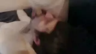 سكس ثلاثي قوي وهيجانين