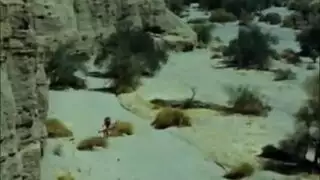  قضيب مراهق يمتطي ميلف في جنس بحري قاس