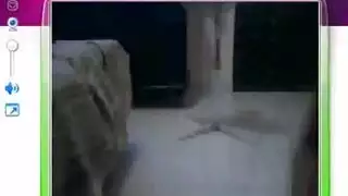عاهرات الديسكو: سكس سحاقي وثلاثي تحت كرة المرايا