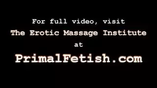شمس عرابي
