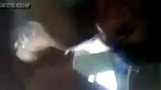 جنس الحيوانات الجامح: مغامرة الآنسة أميري وهايفن الإباحية