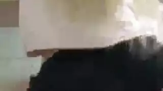 محترفة مص القضيب أناستازيا بلاك لا ترفض أبداً قضيباً سميكاً