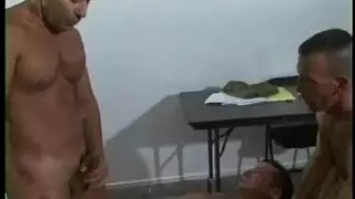 عشيق أهلب الأيرلندية