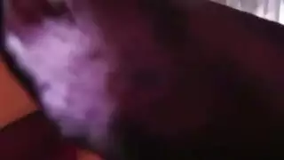 سحاقيات بمؤخرات ممتلئة: مقص صعب على مدار الساعة