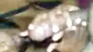 رحلة تاكسي إكس إكس إكس: السائق يعطي الفتاة جماع شرجي عميق وخشن