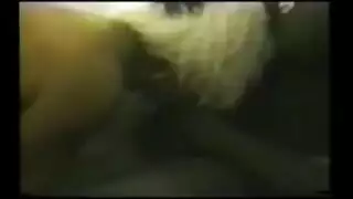 العاهرة الشقراء تدمرها مجموعة من الثيران السود