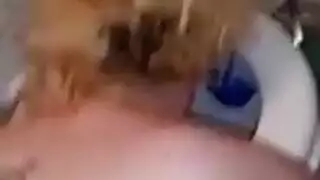إباحية الكاميرا 2016: مقاطع جنس صريحة مجانية