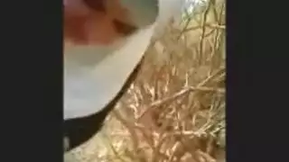 موقع إباحي مجاني للهنديات: نساء يئن بصوت عالٍ