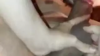 رجيح رجل في الحمام