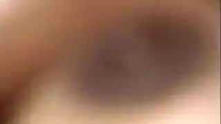 اللغة السويدية مفلس جبهة مورو ذيل حصان