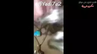 إباحية مصرية: جنس خشن وحفر عميق في المهبل