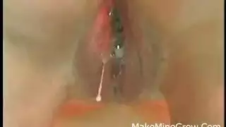 سكس البهائم: نساء إسرائيليات يمارسن الجنس مع الحيوانات بوحشية