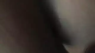 هذه المعاول اليابانية تحب أن تدفع لركوب الدببة