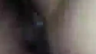 نجوم البورنو شعر طويل السمين هواة