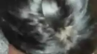 فيلم مصري من منظور الرجل: نكاح فرج عاهرة راغبة ضيق