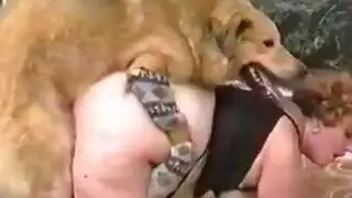 سكس كلب صعب