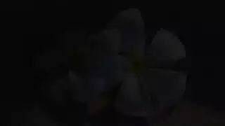 شباب ف بعض