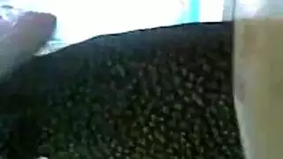 فتاة مصرية قحبة تعمل في مجال السكس شات عارية وتمتع زبائنها