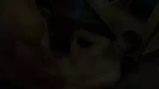 اغتصاب لصوص زنوج