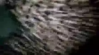 مهرجان جنسي في حمام فقاعات مع جميلات شاحبات